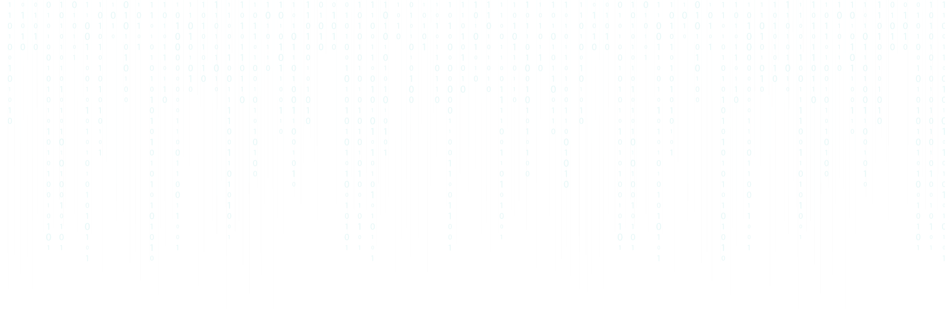Junior {Full Stack}Web developer